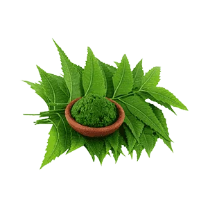 নিমপাতা