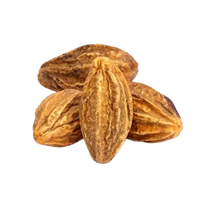 হরিতকি
